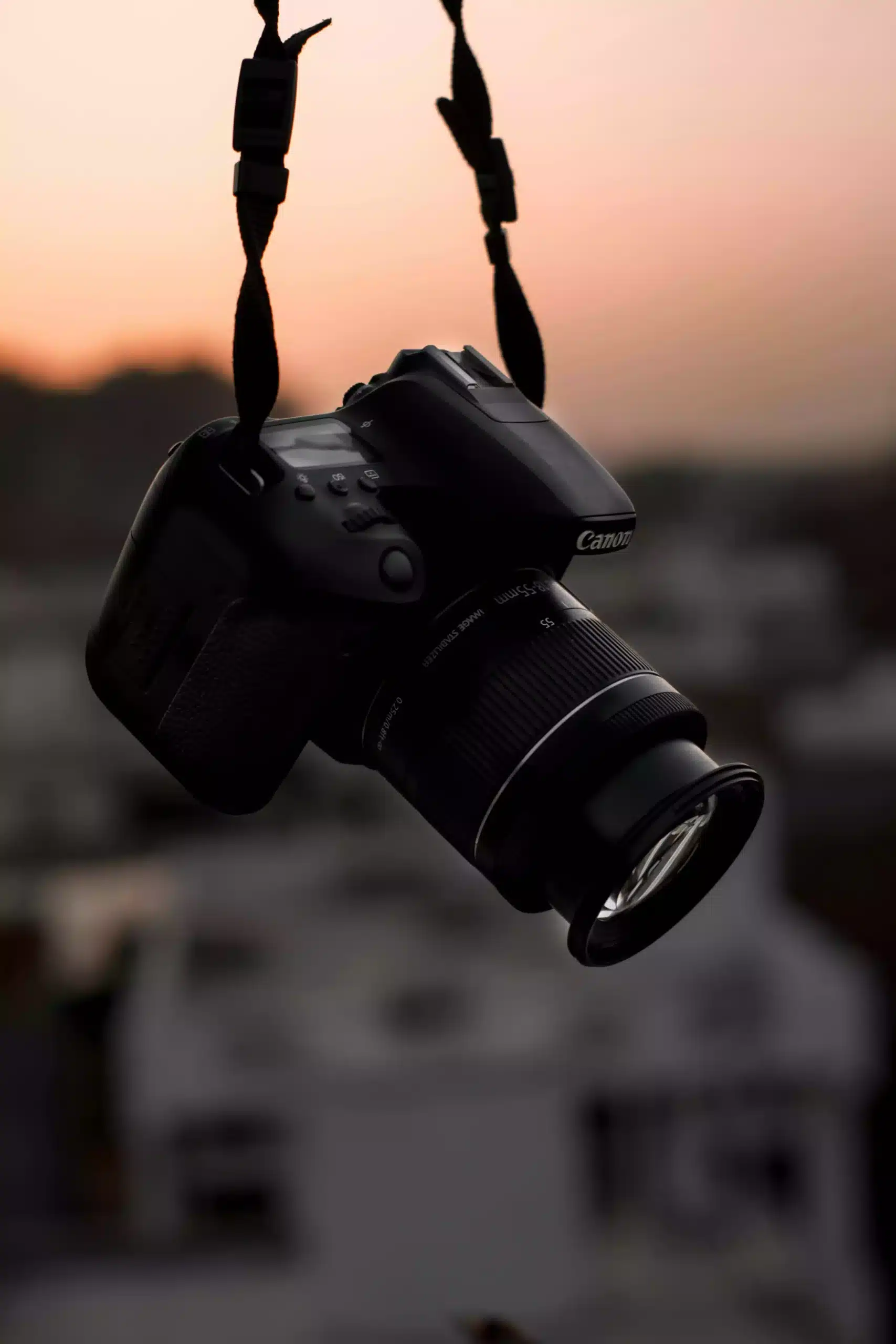 The best professional cameras in 2024