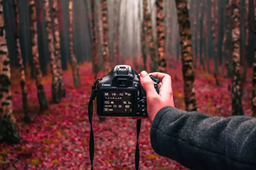 best mirrorless camera for video and photography
